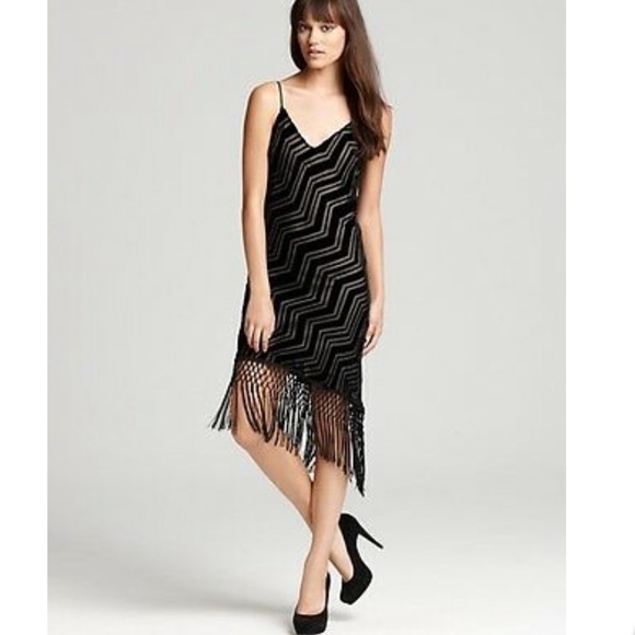 Akiko Dresses & Skirts - Akiko Velvet Dress with Fringe